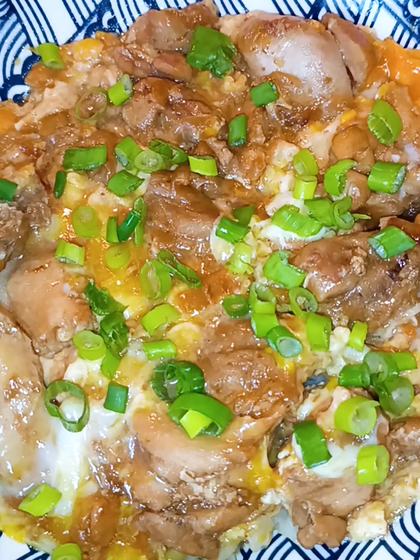 Oyakodon, Japanese Chicken and Egg Rice Bowl